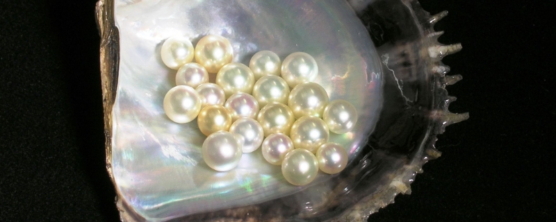 水解珍珠对皮肤的作用与功效