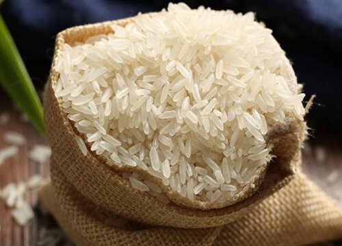 粳米哪里产的最好
