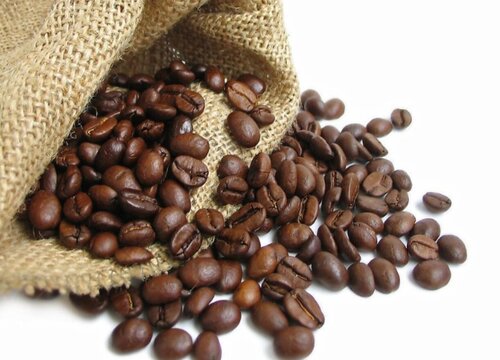 咖啡豆是什么植物的种子