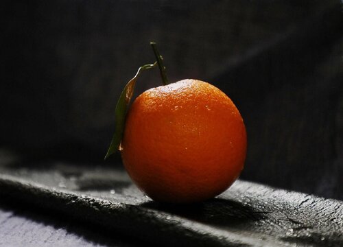 血橙采摘时间和收获季节