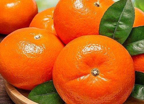 蓝橙是什么水果